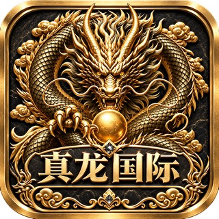 真龙国际